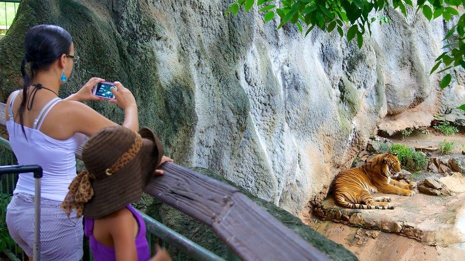 Dr. Juan A. Rivero Zoo