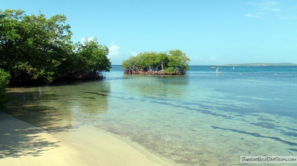 Gilligan’s Island, Guánica